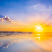 Mary Anne M. B. Troyanoski