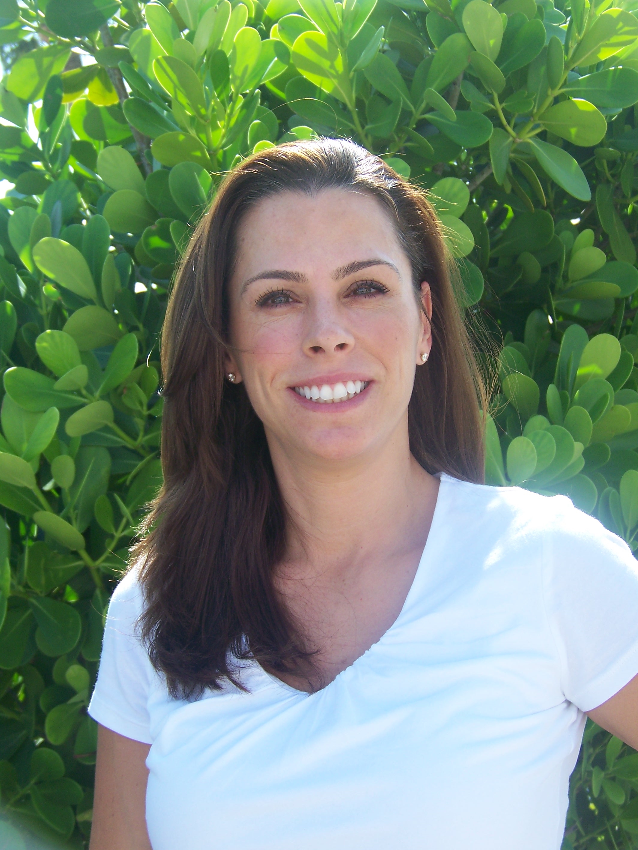 Amy L. Law