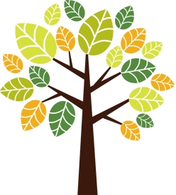 Heather Koubek Jameson