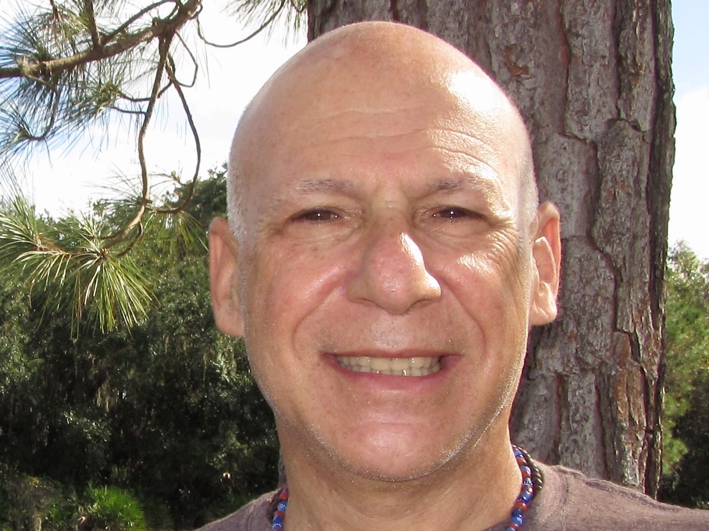 Daniel L. Dell'Armo