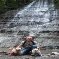 Whole Food Holistic Healing