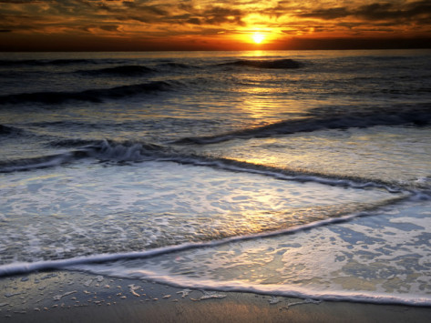 Angela Maria Piccione