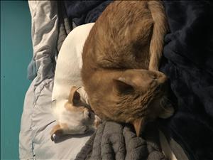 Blanca Patricia Payan