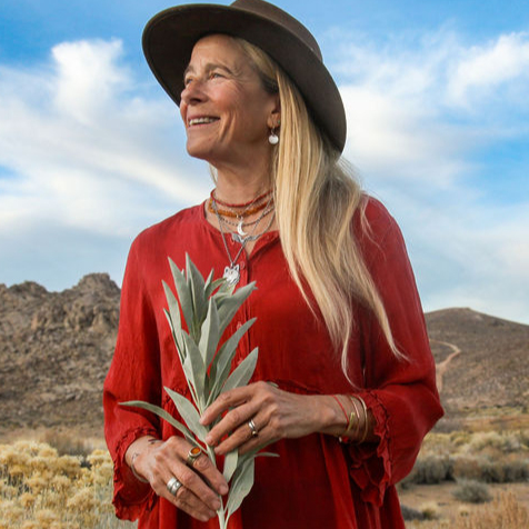 Jan Goldberg M.Sc., CN, M.Ed., FMCHC, NBC-HWC