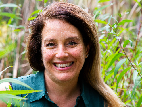 Lynn Tengler