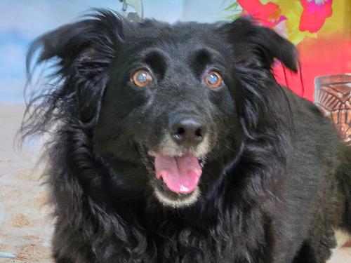 Azzaya Gantulga